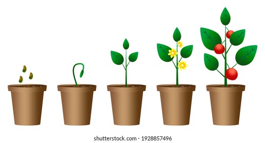 Flowerpot growth. Nature background vector. Stock image. EPS 10.