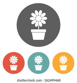 flowerpot icon