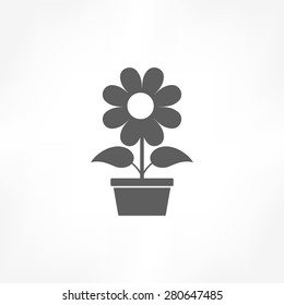 flowerpot icon