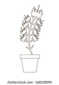 flowerpot icon design, vector illustration eps10 graphic 