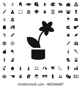 Flowerpot icon illustration isolated vector sign symbol