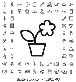 Flowerpot icon illustration isolated vector sign symbol