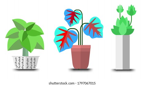 flowerpot icons vector, Doodle house plants