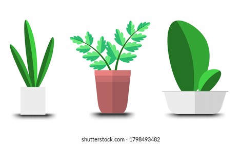 flowerpot icons vector, Doodle house plants