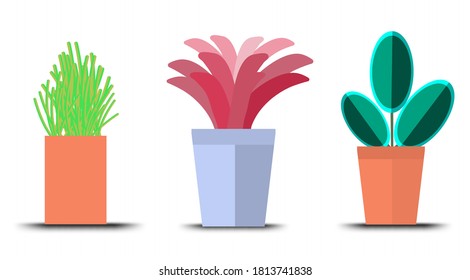 flowerpot icons vector, Doodle house plants