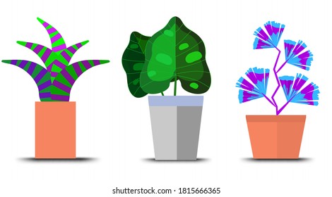 flowerpot icons vector, Doodle house plants