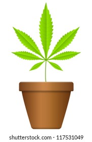 Flowerpot with marijuana leaf  on a white background.