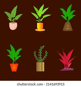 Flowerpot nature plant for decorative abstract background art graphic design vector illustration 