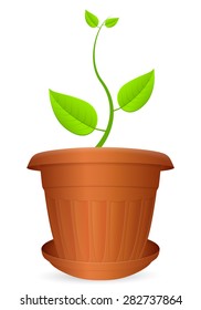 Flowerpot plant on a white background. Vector illustration.