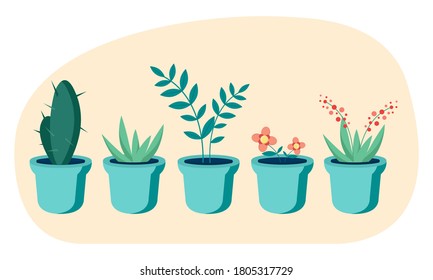 Flowerpot in a pot. Decor element