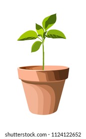  flowerpot realistic vector illustration isolated no background