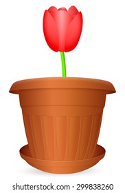 Flowerpot tulip on a white background. Vector illustration.