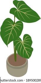 Flowerpot vector art. Houseplant. Leafy houseplant. Picture of a plant. Modern Art. Gardening.