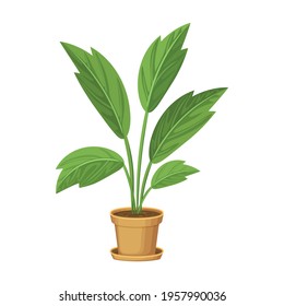 Flowerpot vector cartoon icon. Vector illustration flowerpot on white background. Isolated cartoon illustration icon of flower pot.