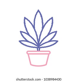 flowerpot  vector illustration