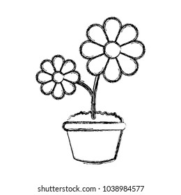 flowerpot  vector illustration