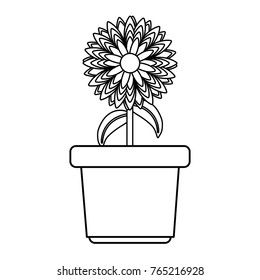 flowerpot  vector illustration