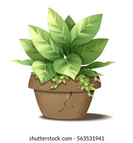 flowerpot vector, plants in small pots, flowerpot in garden, plant for backyard