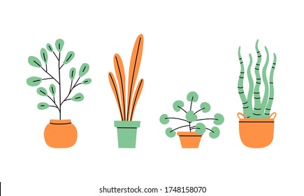 Flowerpots collection. Flowers in vases. Vector collection. House plants.