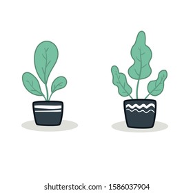 flowerpots for decoration illustrated and colored in a vector version