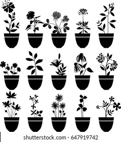 Flores con flores