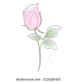 Flower.Rose.For design garden and holiday cards,print.