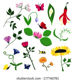 Flowers