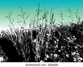 flowers