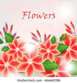 flowers