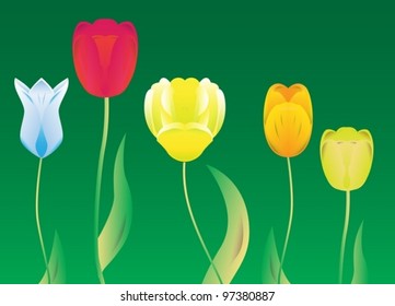 flowers