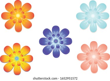Flowers in 5 different  variants