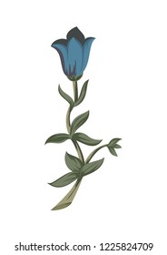  flowers abstract drawing