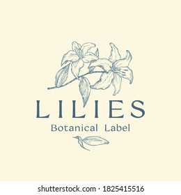 Flowers Abstract Vector Sign, Symbol or Logo Template. Hand Drawn Sketch Lilies Branches Illustration with Classy Typography. Premium Quality Romantic Card. Isolated.