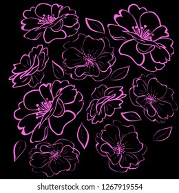 Flowers of apple or cherry. Pink outlines on a bleck background. Vector illustration.