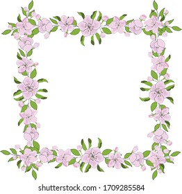 Flowers of apple for gift cards. Set of delicate flowers of apple and wreath for clipart.  Vector hand draw  Illustration EPS10