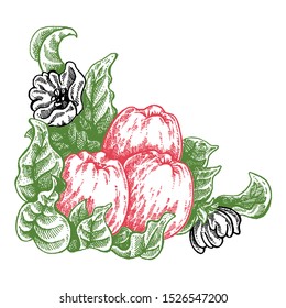Flowers and apples. Vector picture. Wedding invitation template, egology concept, vegan food, cafe, restaurant, illustration for apple juice package