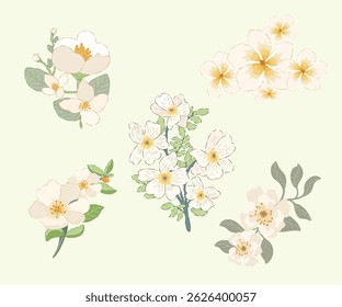 Flowers Arrangement floral nature colorful watercolor simple wedding decoration set