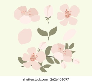 Flowers Arrangement floral nature colorful watercolor simple wedding decoration set