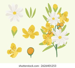 Flowers Arrangement floral nature colorful watercolor simple wedding decoration set