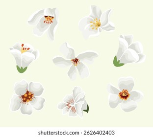 Flowers Arrangement floral nature colorful watercolor simple wedding decoration set