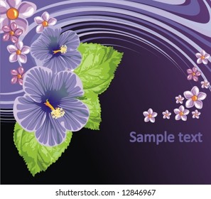 flowers background