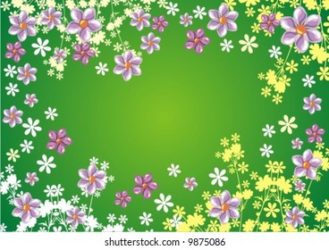 Flowers background