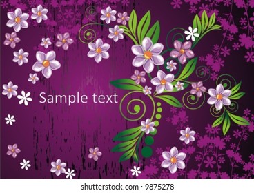 Flowers background