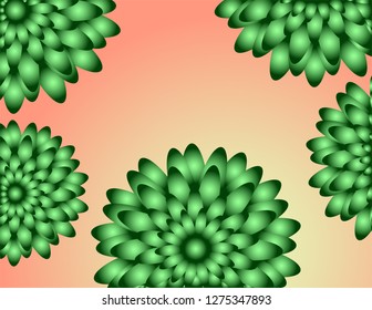 Flowers background bright