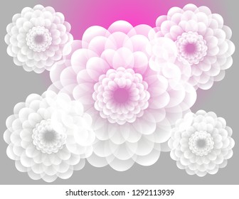 Flowers background bright