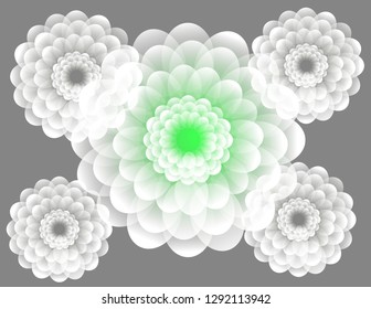 Flowers background bright