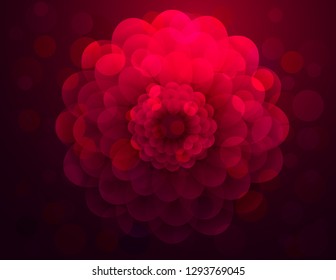 Flowers background bright