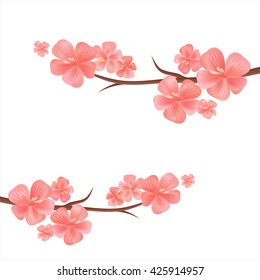 Flowers background. Flowers design. Apple tree flowers. Branches of sakura with red pink flowers  isolated on white. Cherry blossom branch. Vector 