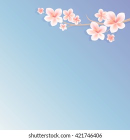 Flowers background. Flowers design. Branch of sakura with flowers. Cherry blossom branch on light-blue-violet. Vector