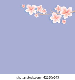 Flowers background. Flowers design. Branch of sakura with flowers. Cherry blossom branch on light-violet. Vector